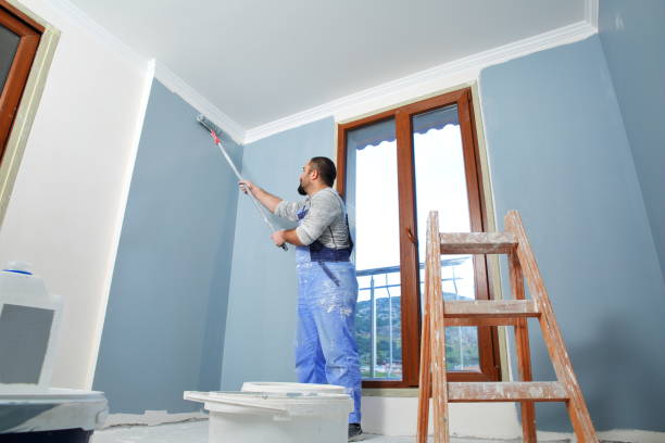 Trusted The Pinery, CO Drywall & Painting Services Experts